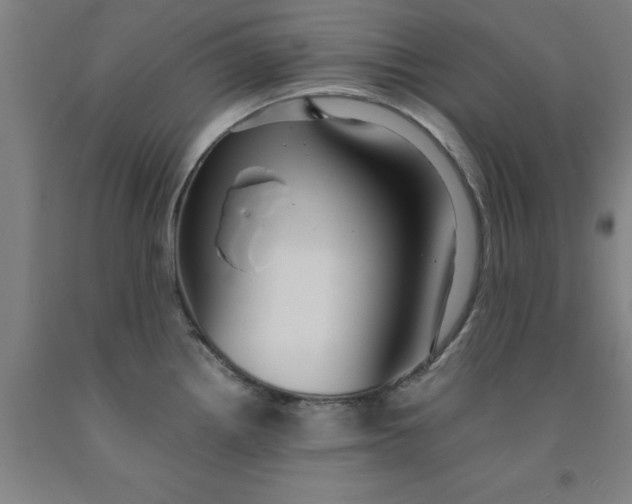 X0000091961242200709271339