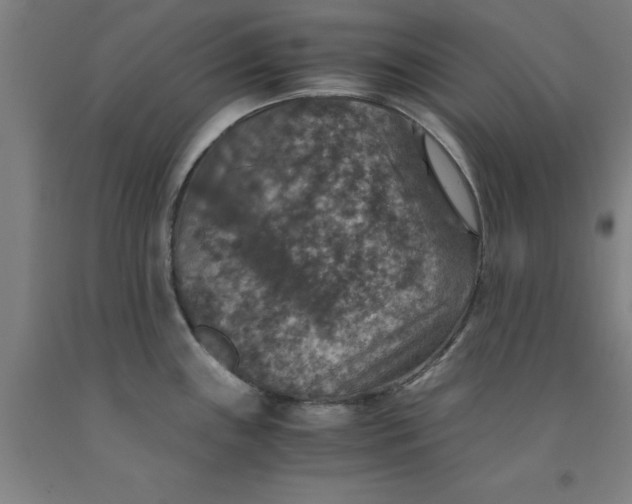 X0000091961243200709271339