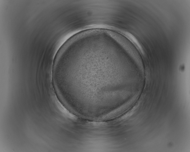 X0000091961244200709271340