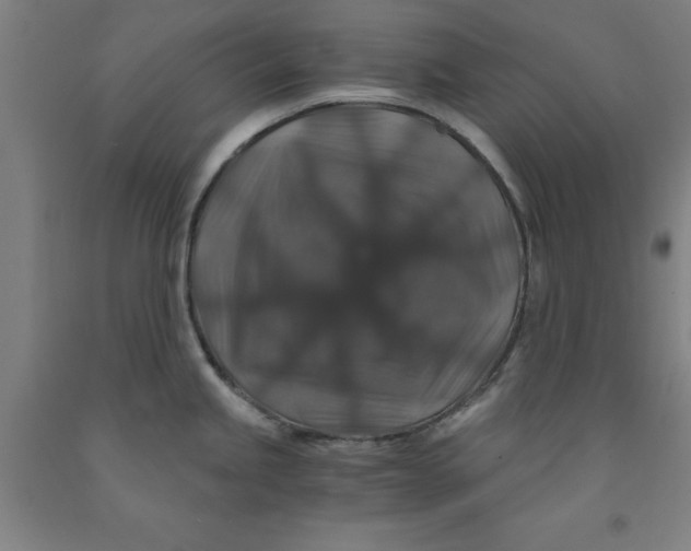 X0000091961245200709271340