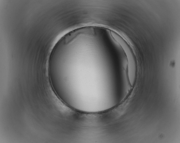 X0000091961246200709271340