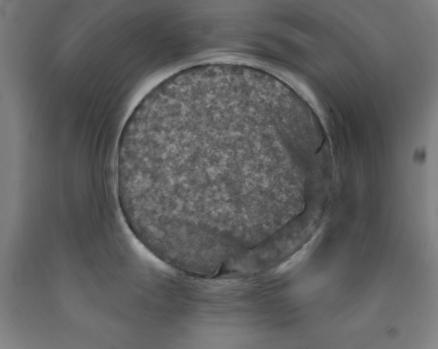 X0000091961247200709271340