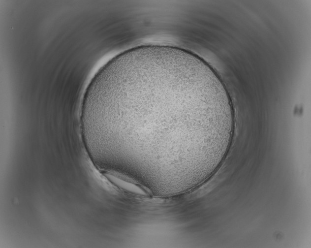 X0000091961248200709271340