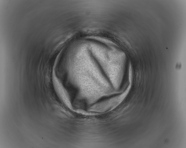 X0000091961250200709271339