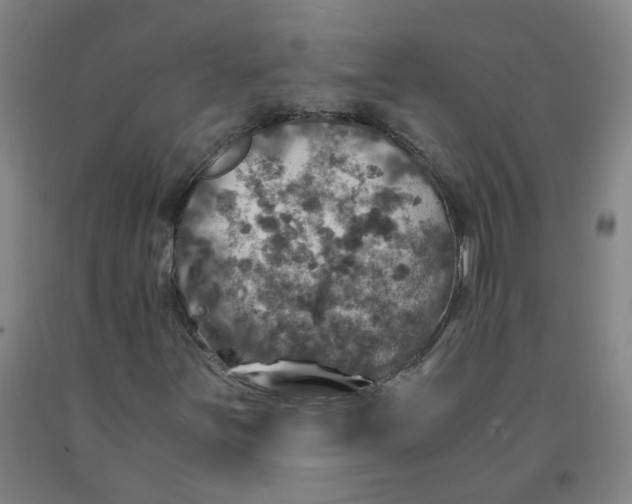 X0000091961251200709271339