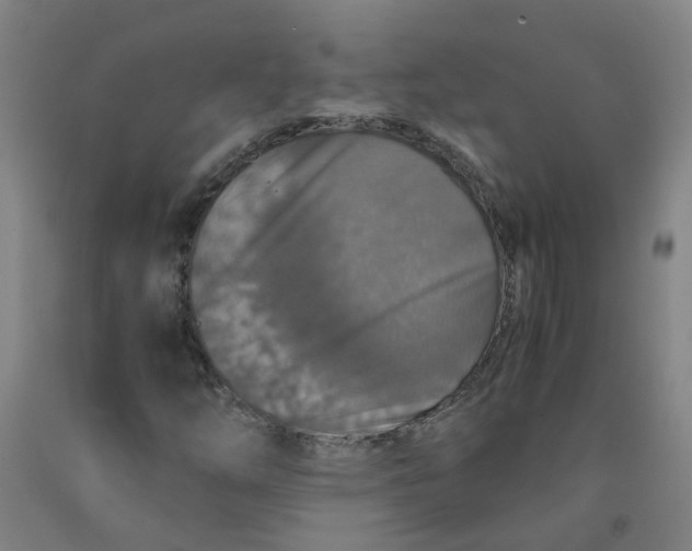 X0000091961254200709271339