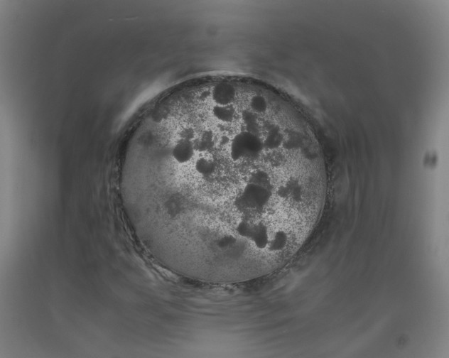 X0000091961255200709271339