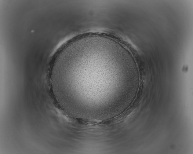 X0000091961256200709271339