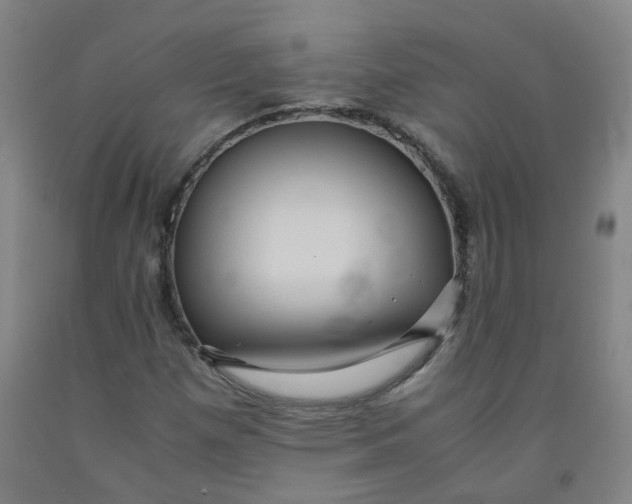 X0000091961257200709271339