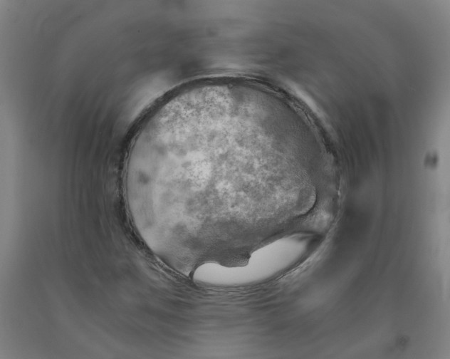 X0000091961259200709271339