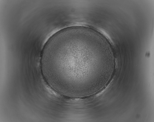 X0000091961260200709271339