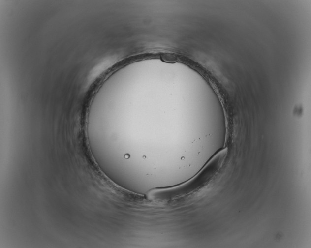 X0000091961261200709271339