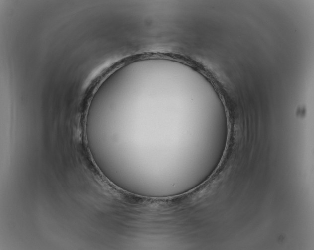 X0000091961262200709271339