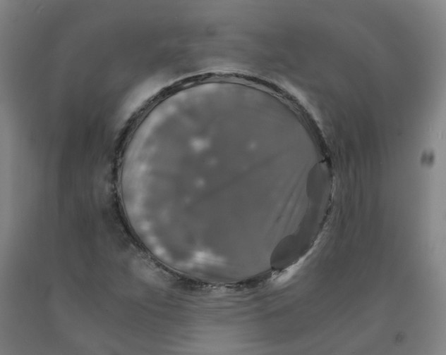 X0000091961263200709271339