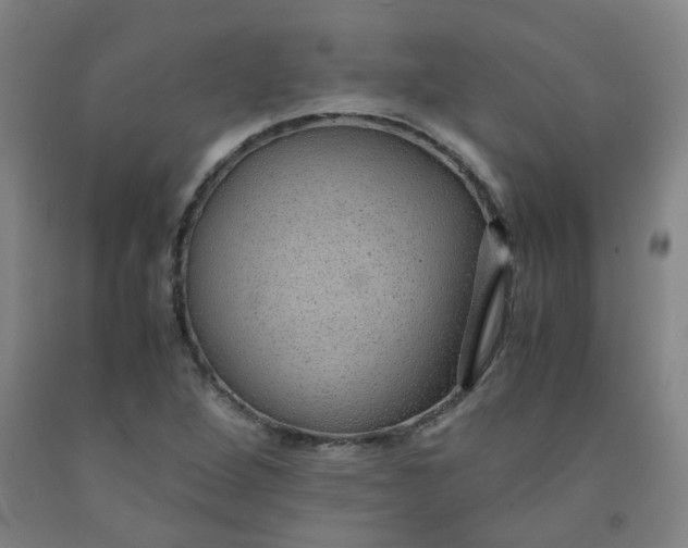 X0000091961264200709271339