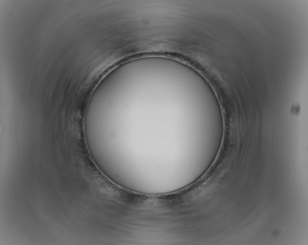 X0000091961265200709271339