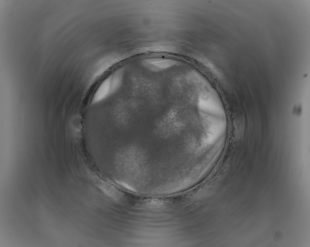 X0000091961266200709271339