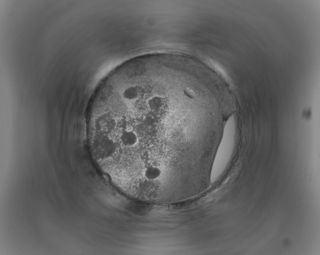 X0000091961267200709271339