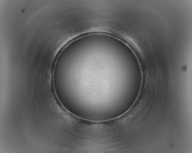 X0000091961268200709271339