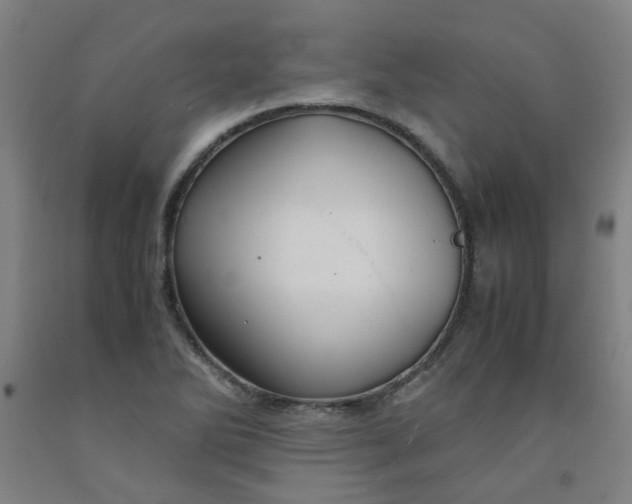 X0000091961270200709271339