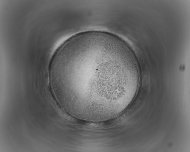 X0000091961271200709271339