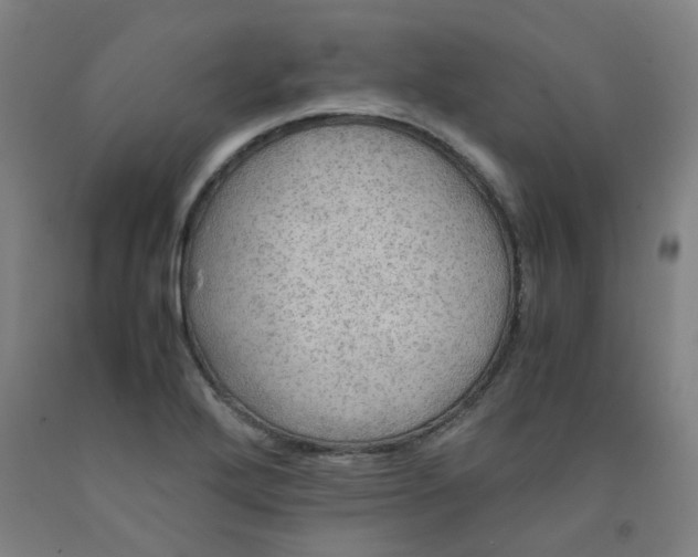 X0000091961272200709271339