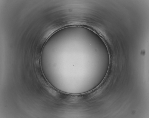 X0000091961273200709271339