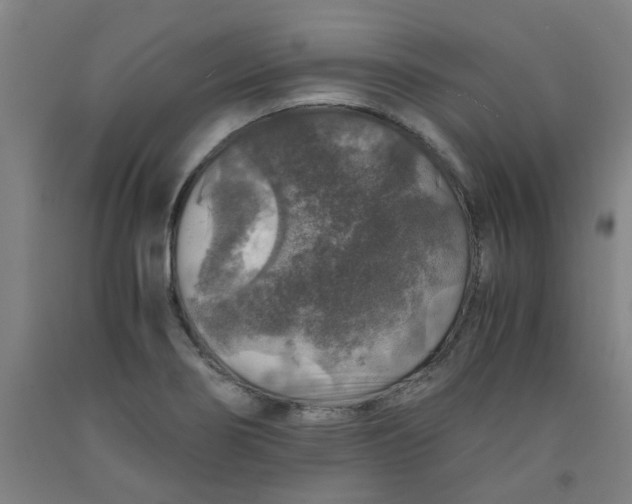 X0000091961274200709271339