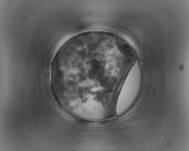 X0000091961275200709271339