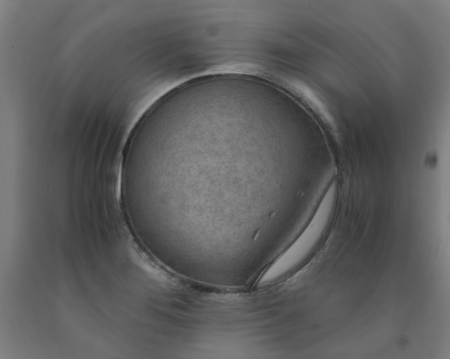 X0000091961276200709271339