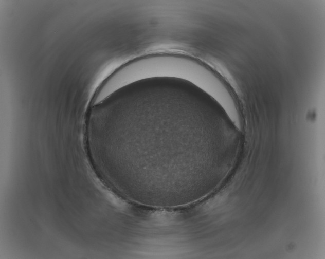 X0000091961277200709271339