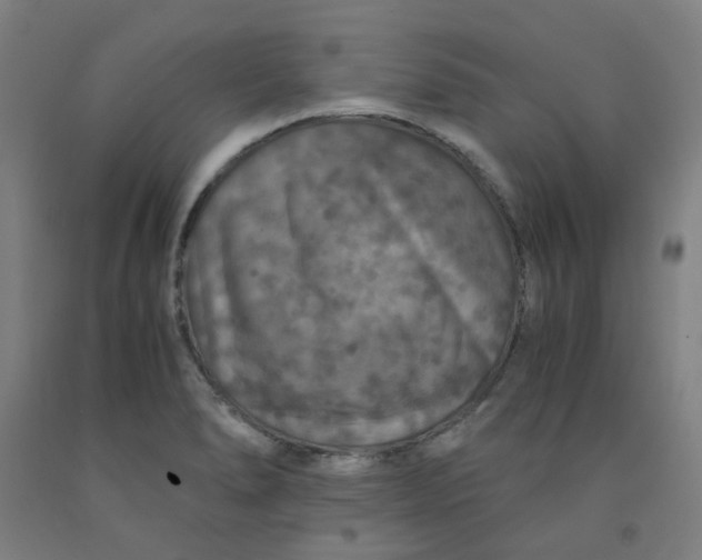 X0000091961278200709271339