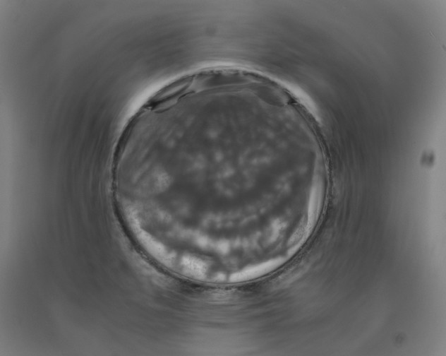 X0000091961279200709271339