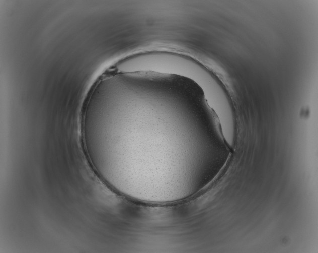 X0000091961280200709271339