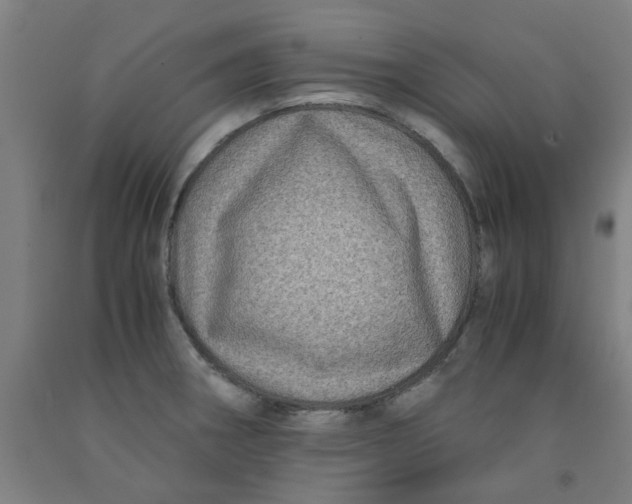 X0000091961282200709271339