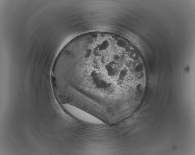 X0000091961283200709271339