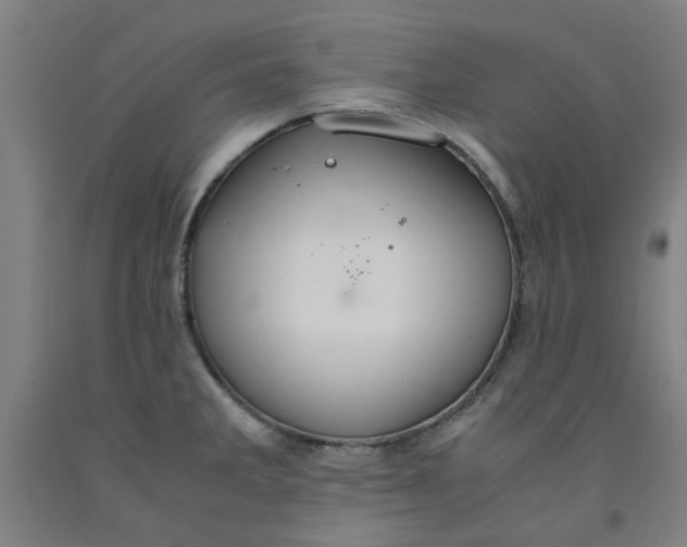 X0000091961285200709271338