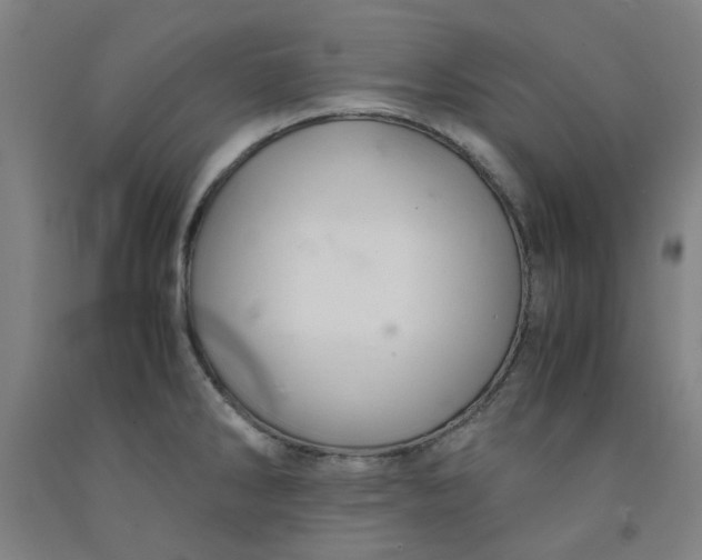 X0000091961286200709271338