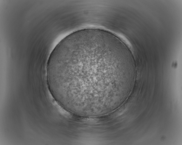 X0000091961287200709271338