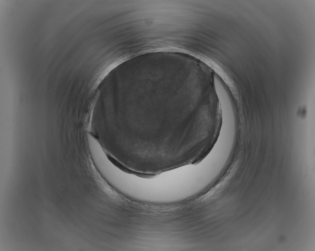 X0000091961289200709271338