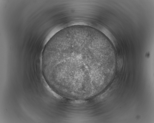 X0000091961290200709271338