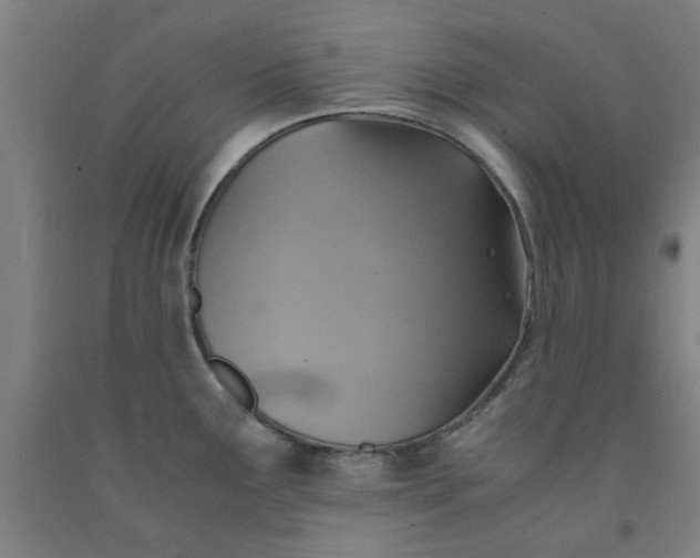 X0000091961291200709271338