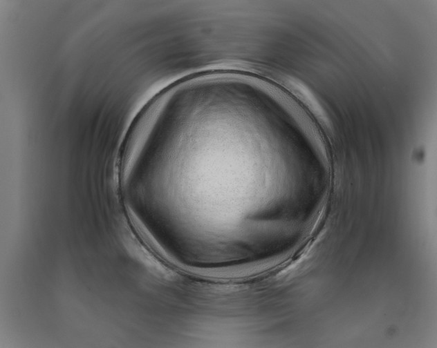 X0000091961292200709271338