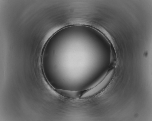 X0000091961293200709271338