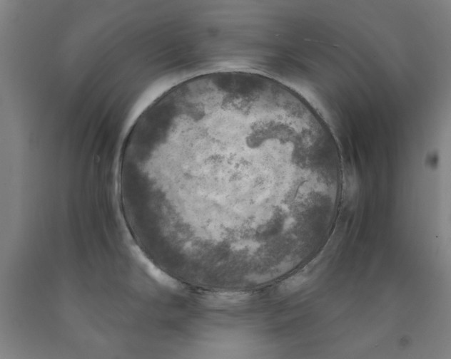 X0000091961294200709271338