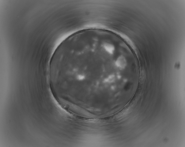 X0000091961295200709271338