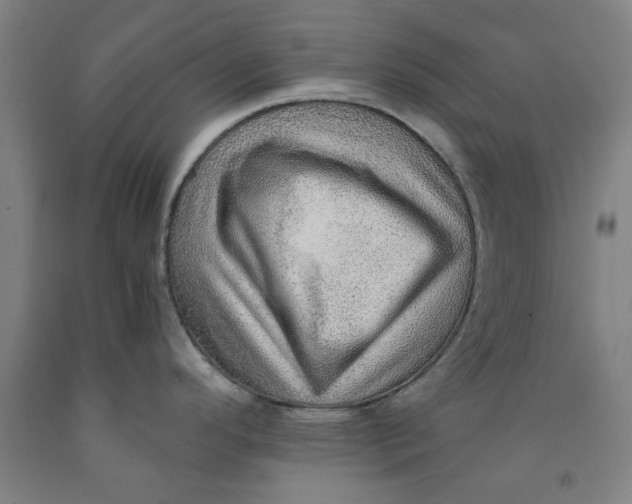 X0000091961296200709271338