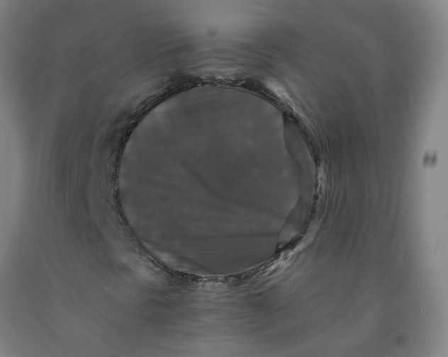 X0000091961297200709271338