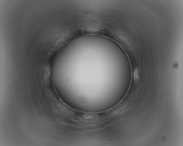 X0000091961299200709271338