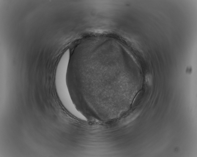 X0000091961300200709271338